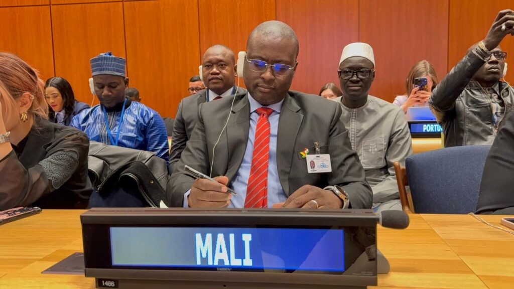 Forum de la jeunesse de l’ECOSOC 2025 : Les jeunes, acteurs de l’innovation et de l’inclusion pour les ODD